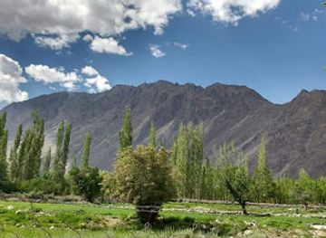 india/ladakh/attraction/nubra-village