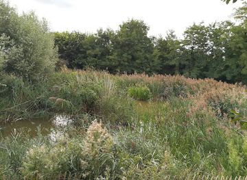 france/ile-de-france/attraction/la-mare-perchee