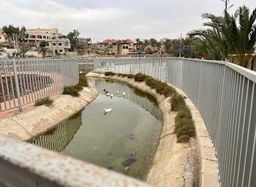 jordan/azraq-wetland-reserve/attraction/al-azraq-city-park