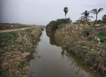 israel/northern-district/attraction/ein-nimfit-reserve