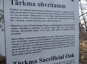 Tärkma ohvritamm
