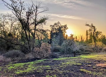 israel/hod-hasharon/attraction/mat'kham-beit-hana'ara