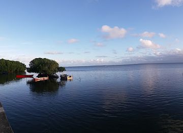 fiji/lau-islands/attraction/albert-park