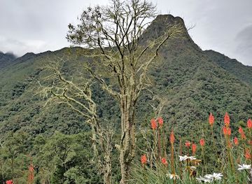 colombia/cocora-valley/attraction/mei-s-cascada