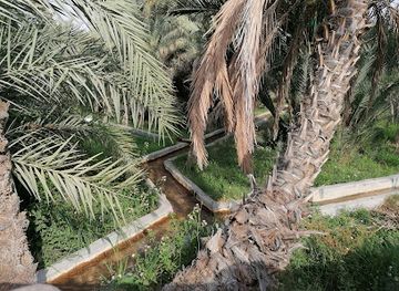 united-arab-emirates/al-ain-region/attraction/oasis-jimi