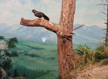 delaware/the-brandywine-valley/attraction/delaware-museum-of-nature-science