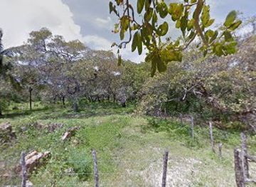 brazil/jericoacoara/attraction/buraco-quente-da-duda