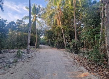 philippines/bohol/panglao/attraction/best-sunset-hermit-beach