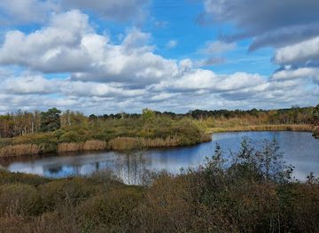 belgium/antwerpse-kempen/attraction/the-visitor-center-landscape-liereman