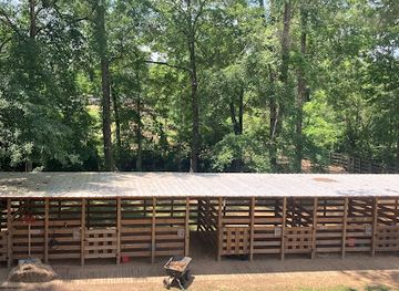 louisiana/kisatchie-national-forest/attraction/rustic-sky-horse-camp