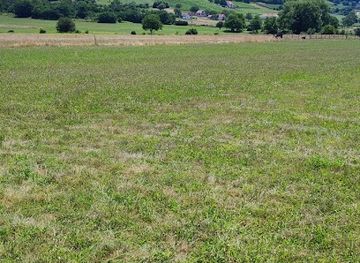 hungary/western-transdanubia/attraction/kaptalantoti-piac