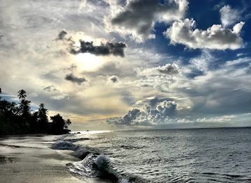 trinidad-and-tobago/scarborough/attraction/great-courland-bay-turtle-beach