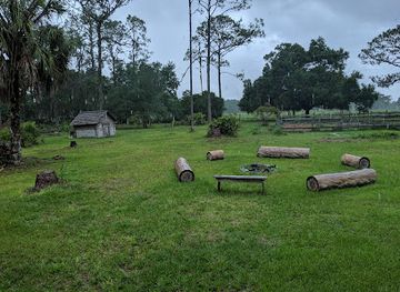 florida/sarasota-beaches/attraction/crowley-museum-nature-center