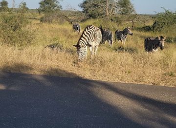 south-africa/bushveld/attraction/orpen-gate-kruger-national-park-reception
