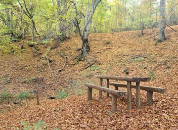 romania/salaj/attraction/fantana-de-piatra