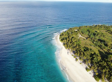 maldives/gnaviyani-atoll/attraction/shark-island-dive-fuvahmulah