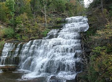 new-york/watkins-glen/attraction/hector-falls