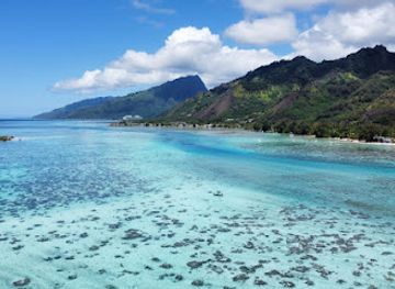 french-polynesia/moorea/attraction/alex-lagoon-tours