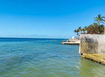 florida/florida-keys/attraction/southernmost-point-of-the-continental-u-s-a