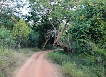 sri-lanka/minneriya-national-park/attraction/rambawilla-elephant-watching