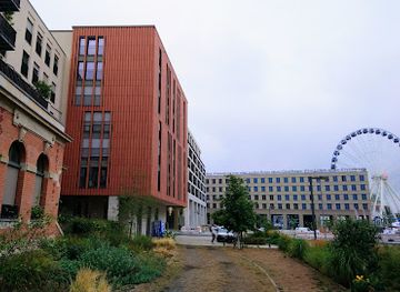 germany/dresden/attraction/neue-promenade-zu-dresden