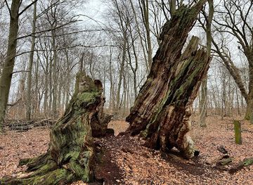 denmark/north-zealand/attraction/storkeegen