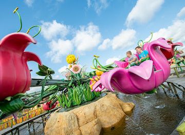 poland/lubusz-land/attraction/majaland-kownaty