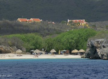 curacao/playa-kenepa/attraction/manor-knip