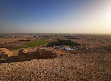 saudi-arabia/northern-borders/attraction/wild-baboons