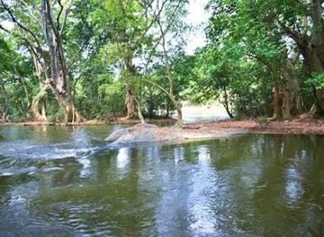 sri-lanka/wilpattu-national-park/attraction/neela-bamma-fence-project