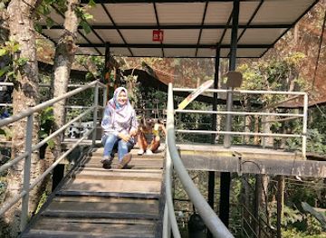 indonesia/bandung/attraction/bird-pavilion-at-pramestha