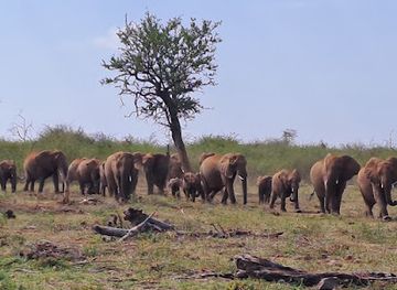 south-africa/north-west/attraction/abjaterskop-gate-quickest-route-via-zeerust