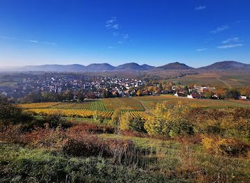 germany/moselle/attraction/kleine-kalmit-nature-reserve