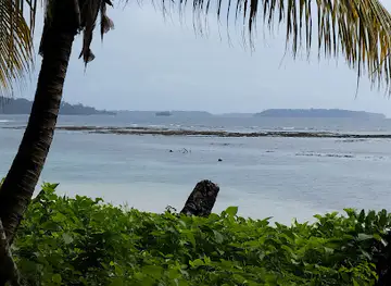 Bunikalo