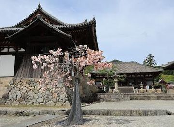 japan/nara/attraction/taima-dera