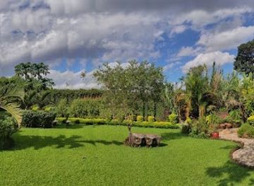 malawi/zomba/attraction/maya-s-garden-and-bridal-services