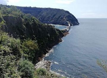 italy/capri/attraction/vivara