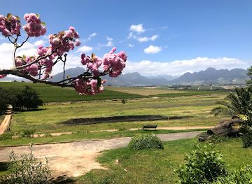 south-africa/cape-winelands/attraction/neethlingshof-1692