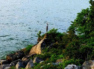 ohio/lake-erie-islands/attraction/catawba-island-nature-preserve
