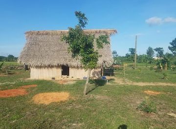 belize/toledo-district/attraction/scarlet-macaw-eco-adventure-camping-and-farm