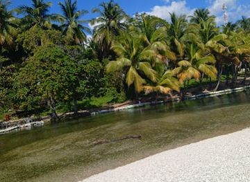 dominican-republic/barahona/attraction/los-patos