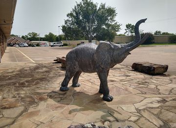 oklahoma/lake-texoma/attraction/harber-wildlife-museum