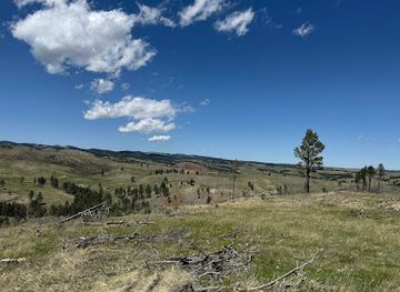 south-dakota/crazy-horse-memorial/attraction/wildlife-loop-road