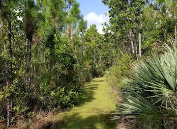 florida/stuart/attraction/kiplinger-nature-preserve