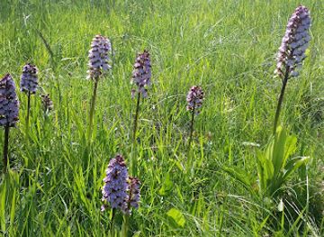 luxembourg/gutland/attraction/aarnescht