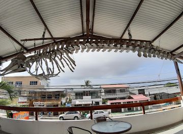 ecuador/salinas/attraction/el-museo-de-ballenas