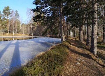 sweden/dalarna/attraction/korsa-bruk