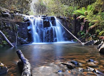 australia/mount-field-national-park/attraction/willies-falls