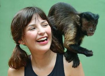 mexico/cozumel/attraction/akumal-monkey-sanctuary