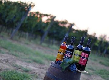 italy/arezzo/attraction/az-agr-gabriele-mazzeschi